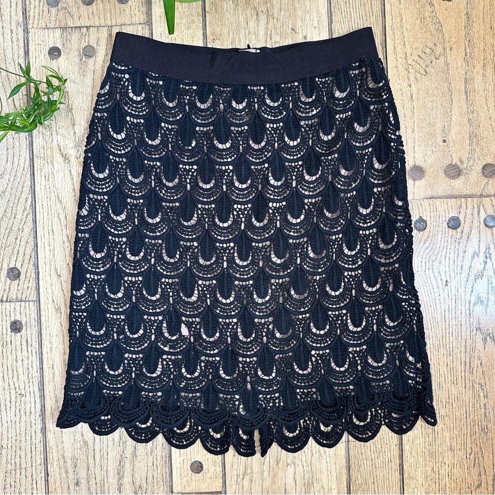 Ann Taylor A-Line Teardrop Lace Work Skirt